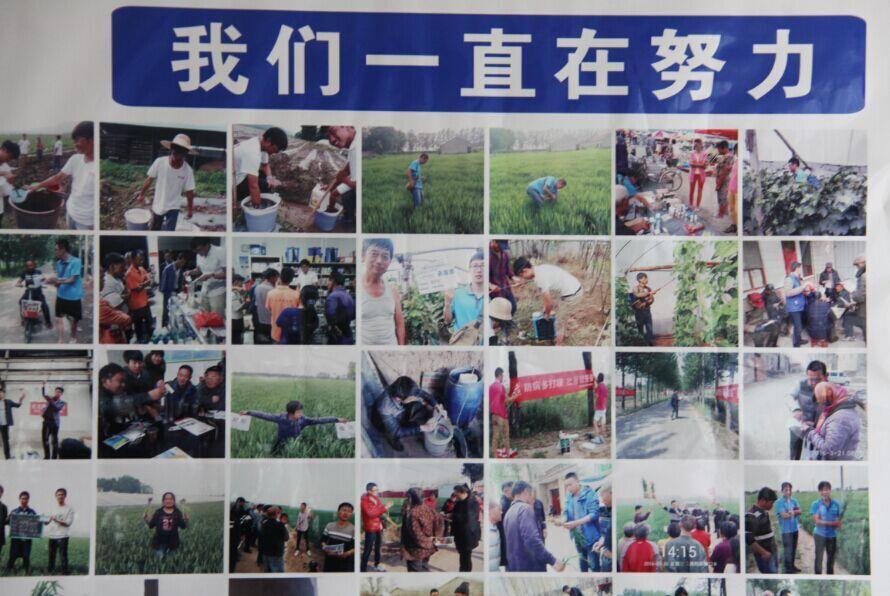 星空电子药业集团国内制剂2016年度第一次总结暨市场启动会议隆重召开