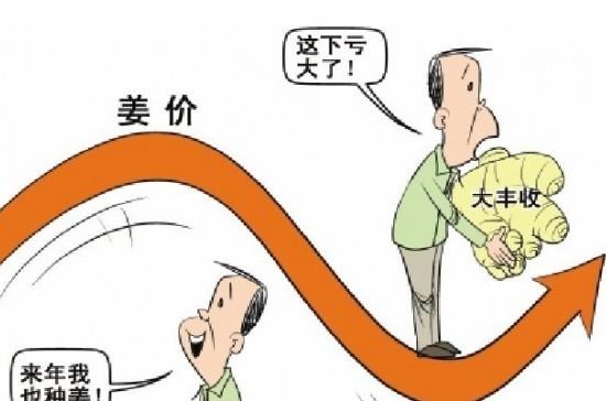 “姜你军”跌的最狠 是咋回事呢？