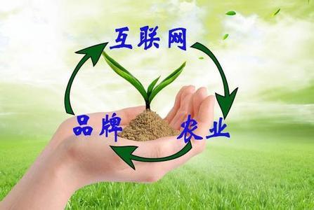 “互联网+农业+品牌”等于什么？