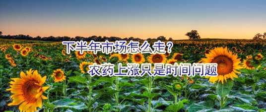 下半年市场怎么走？农药上涨只是时间问题