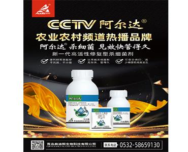 星空电子集团奥迪斯阿尔达?登录央视CCTV
