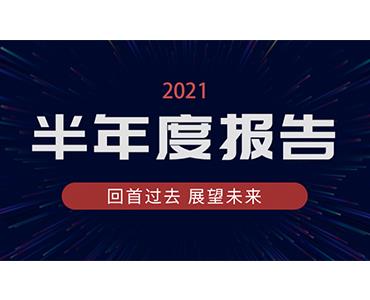 星空电子药业集团2021年半年度报告
