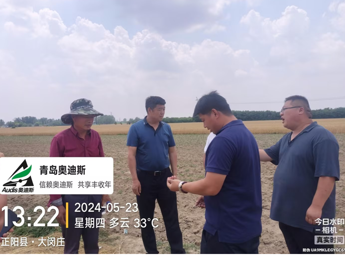 名誉董事长躬身入局下市。锛涞赝返餮忻